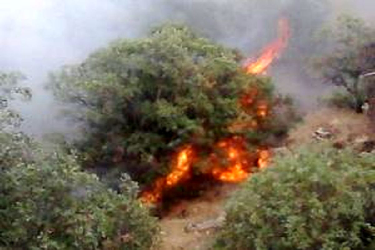 آتش سوزی منطقه جنگلی دره شاه قلندر و قلارنگ مهار شد