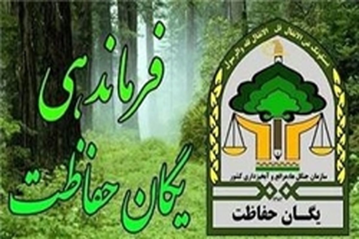 فرمانده یگان حفاظت منابع طبیعی بویراحمد جان سپرد