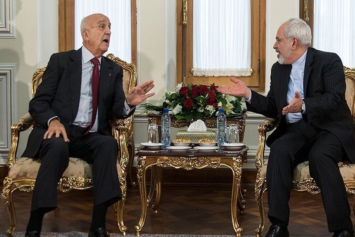 ظریف با وزیر دفاع لبنان دیدار کرد