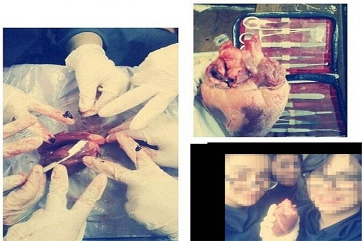 پزشکانی که جنون سلفی داشتند