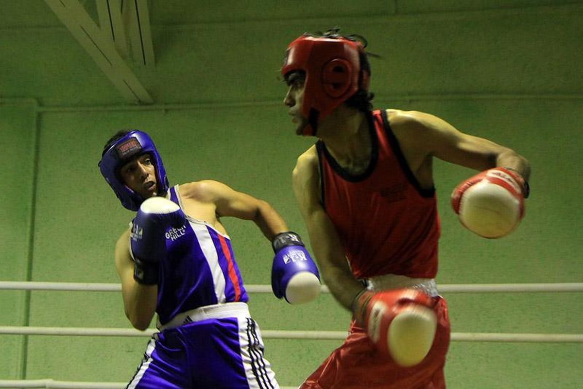 وینکوف در موفقیت بوکس ایران موثر است