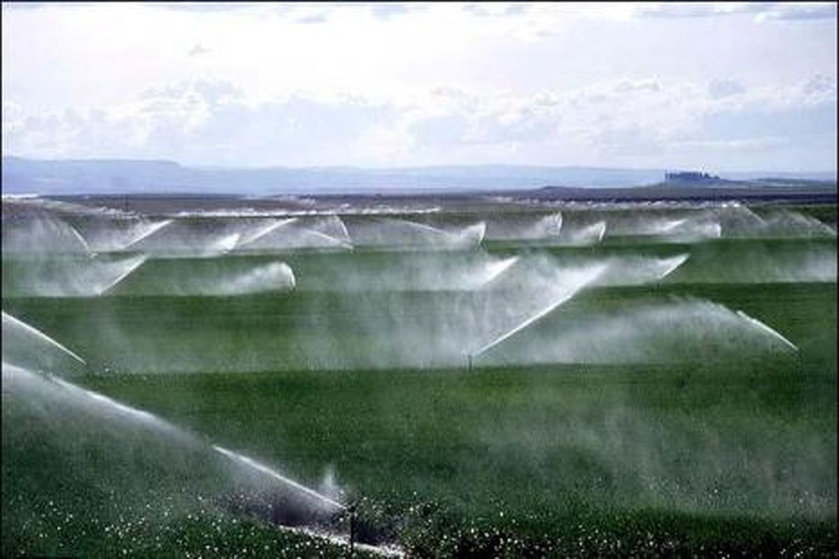 تجهیز ۴ هزار هکتار از اراضی کشاورزی به سیستم آبیاری تحت فشار