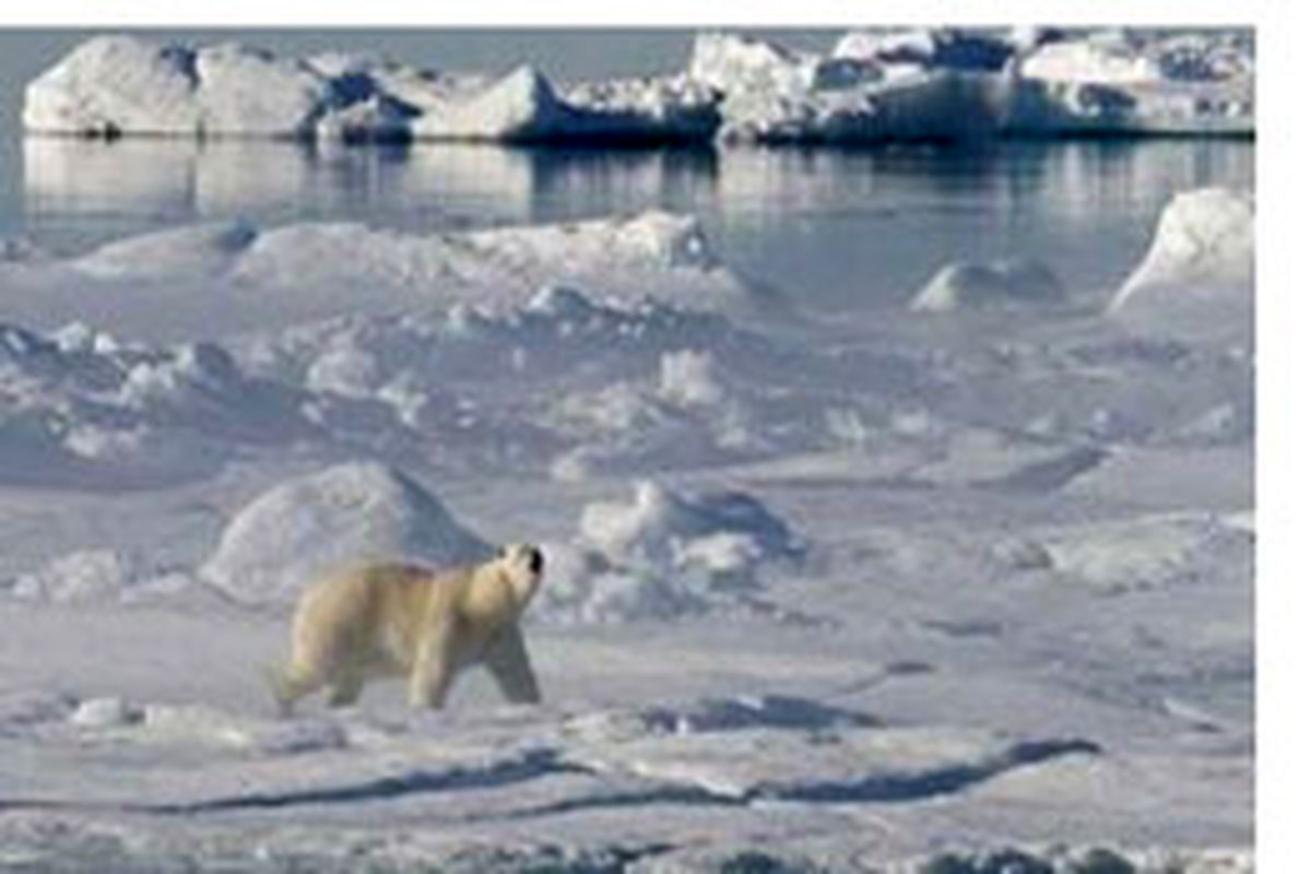عکس:روند ذوب شدن یخ های قطب شمال