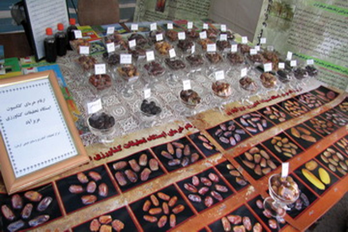 نمایشگاه صنایع دستی و خرما و زندگی خوزستان گشایش یافت