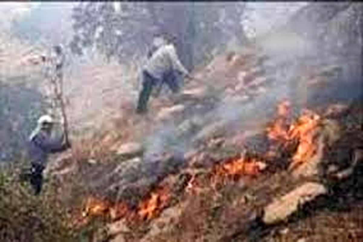 آتش سوزی در منطقه حفاظت شده دیل گچساران مهار شد