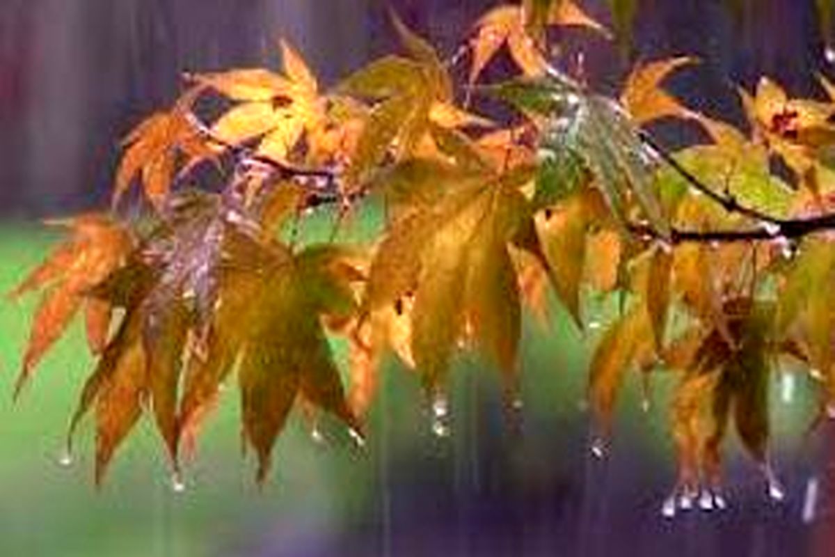 در خصوص بارش های فصلی تمهیدات لازم اتخاذ خواهد شد