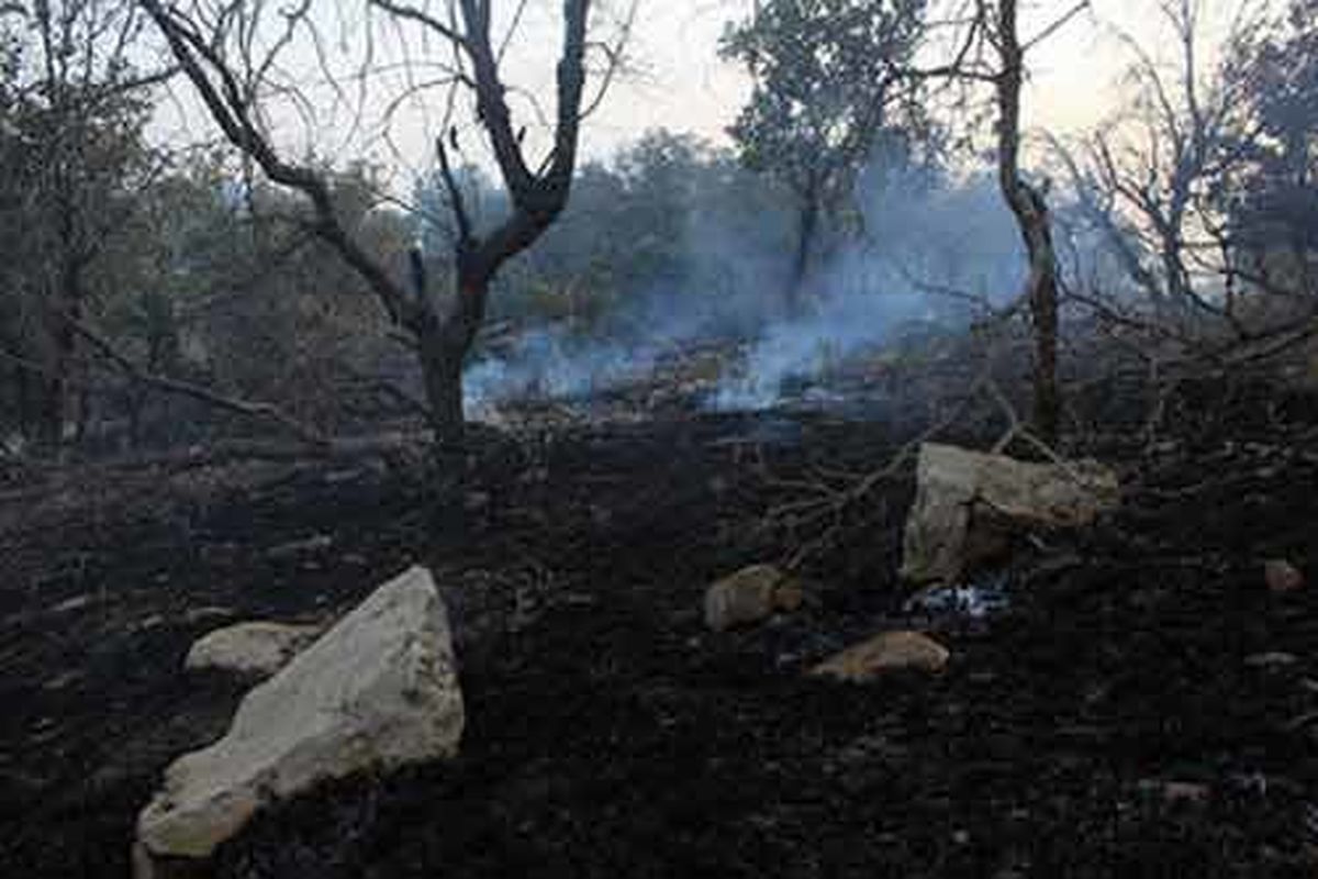 آتش سوزی جنگل های دهلران مهار شد