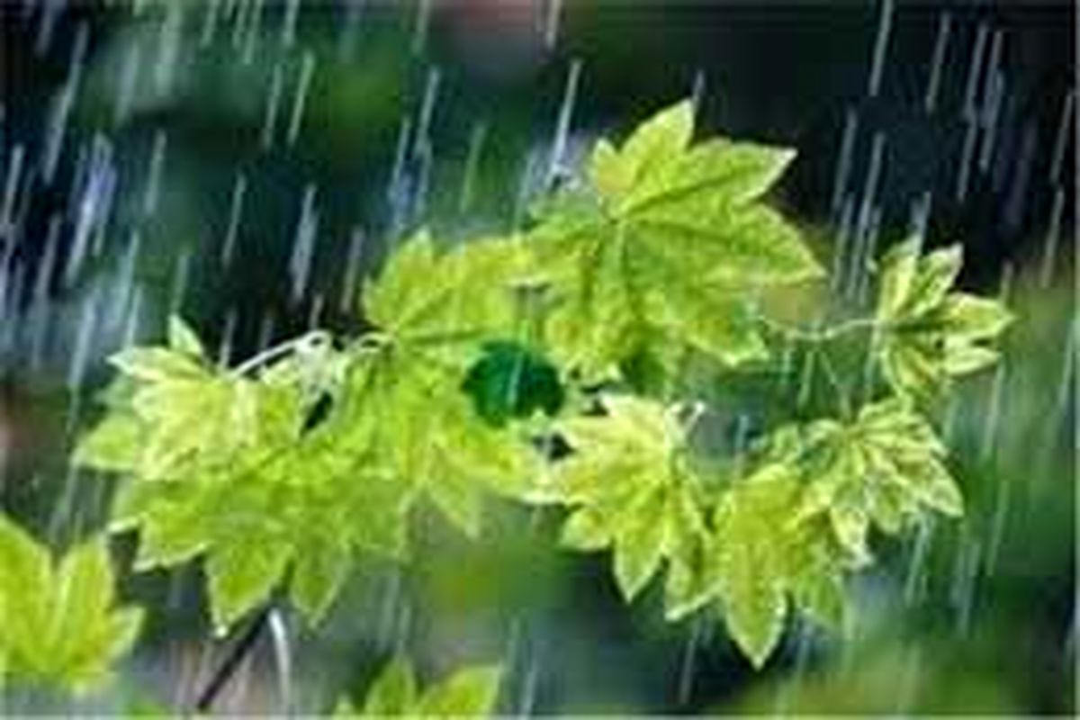 نزول باران رحمت در سراسر فارس/ آمادگی دستگاه های مختلف برای مقابله با سیلاب