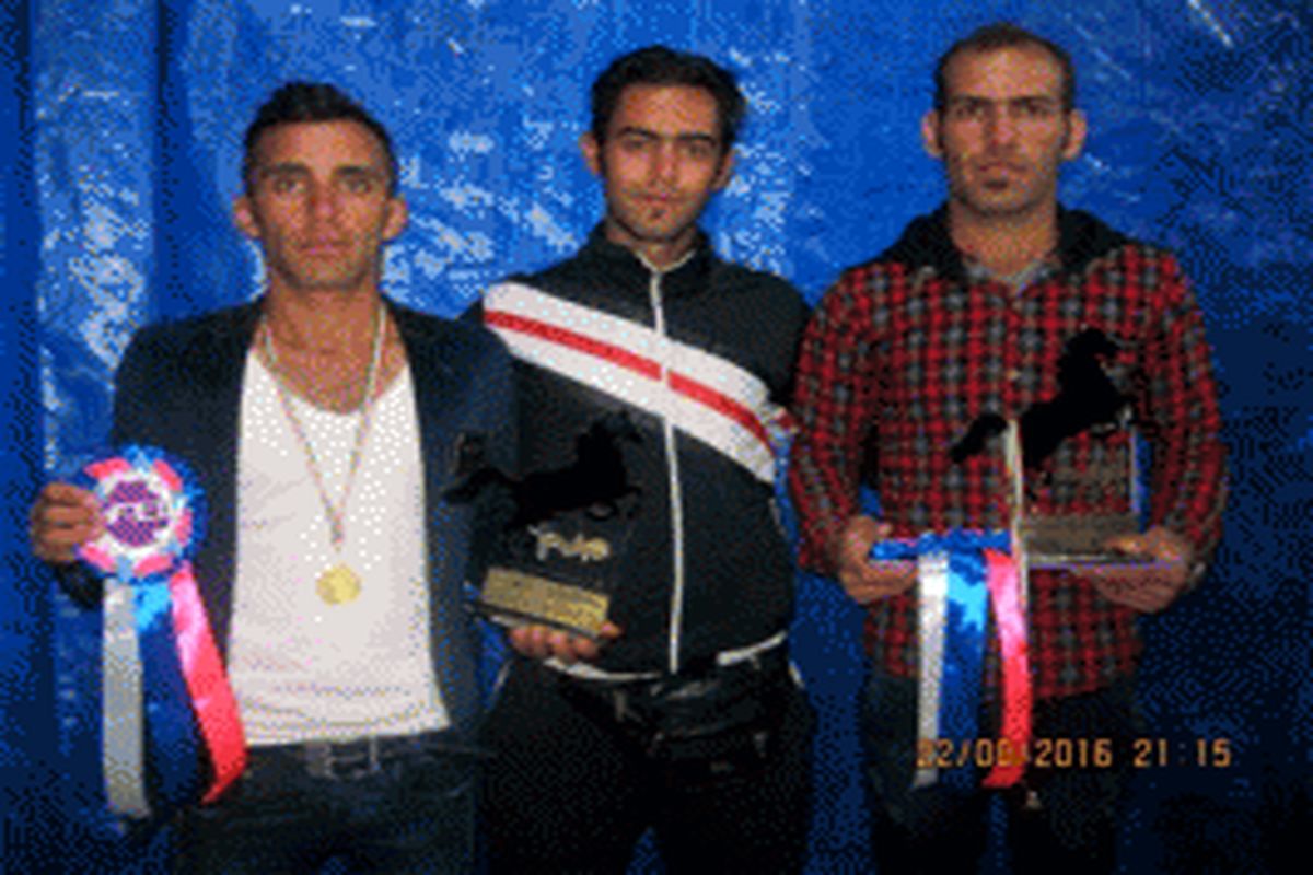 قهرمانی سوارکاران لرستانی در مسابقات کشوری