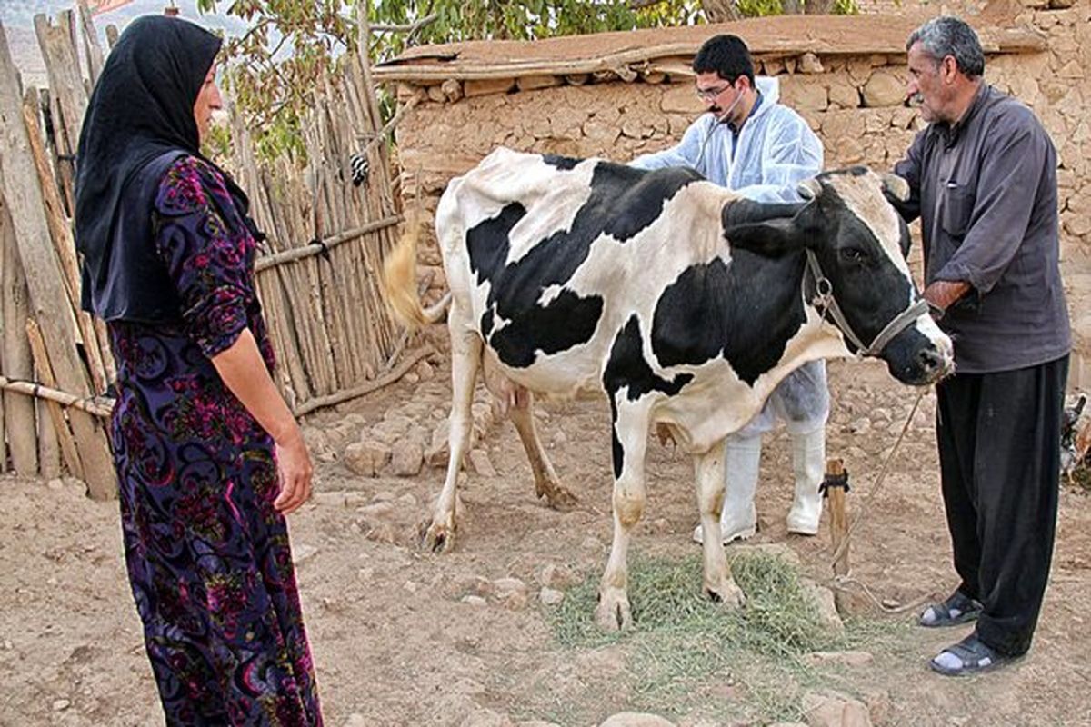 دانش زنان روستایی در زمینه بهداشت دام و طیور ارتقا می یابد