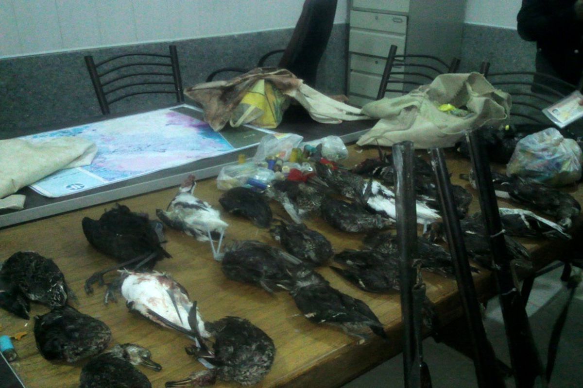 برخورد با متخلفان شکار در خوزستان کوبنده خواهد بود/ ۵ شکارچی غیرمجاز پرنده دستگیر شدند