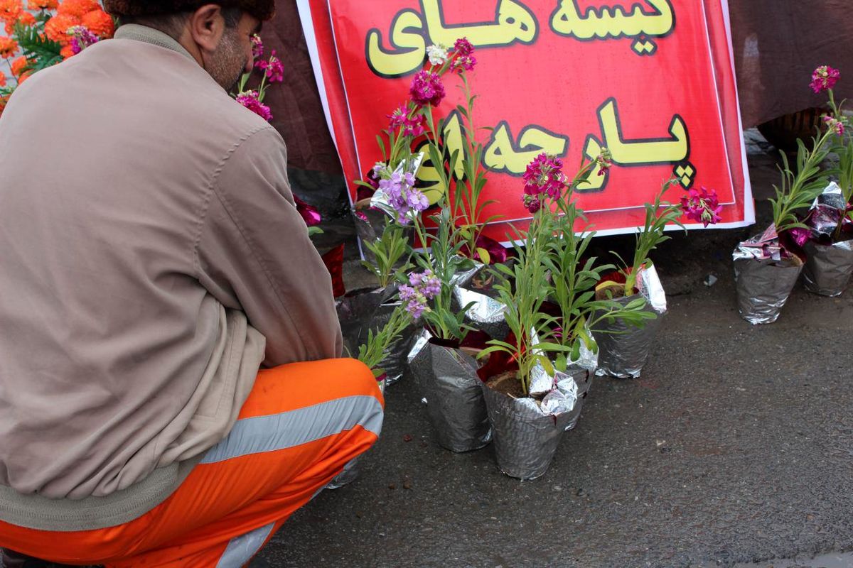 پاکبانان شهرداری تجلیل می شوند