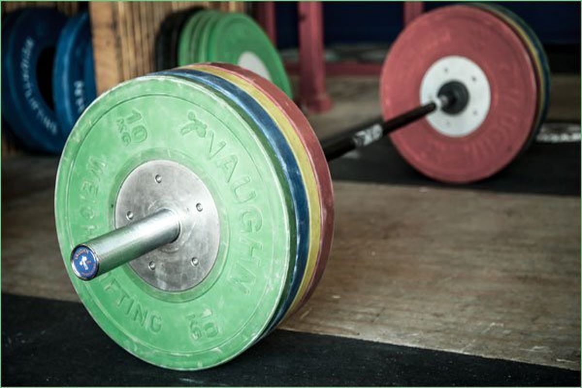 اعلام آمادگی وزارت علوم برای اعزام وزنه برداران به جهانی دانشجویان و المپیک دانشجویان