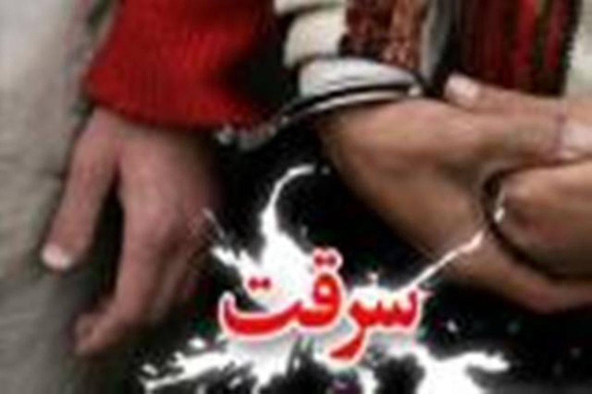 دستگیری سارق حرفه ای با ۲۰ فقره سرقت