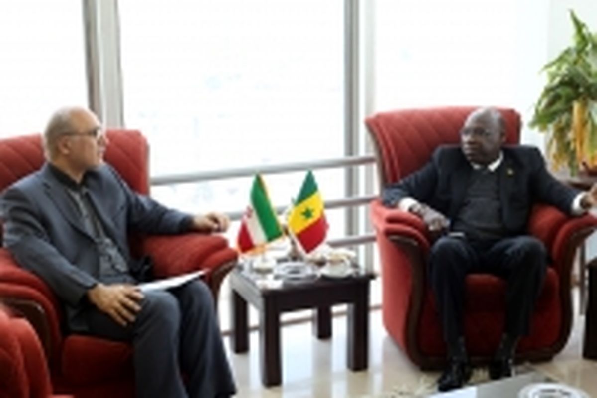 قائم مقام وزیرعلوم در امور بین الملل با سفیر سنگال در ایران دیدار کرد