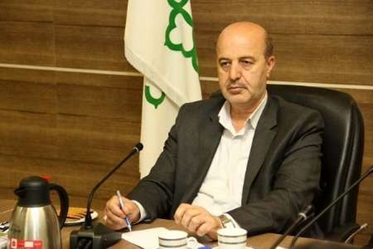 در یک دهه گذشته بیش از ۶۰ زمین چمن مصنوعی در منطقه ۲۰ احداث شده است