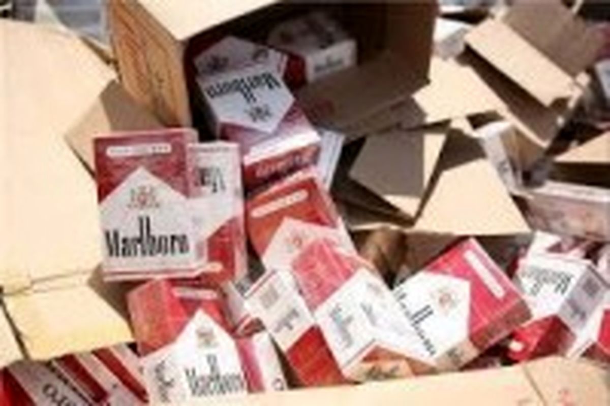 بیش از ۳۰۰۰ نخ سیگار قاچاق در ری جمع آوری شد