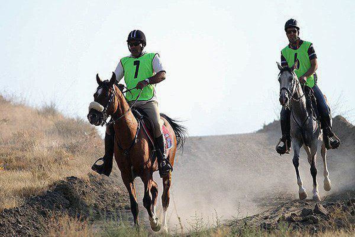 نفرات برتر مسابقات اسب سواری استقامت کردستان مشخص شدند