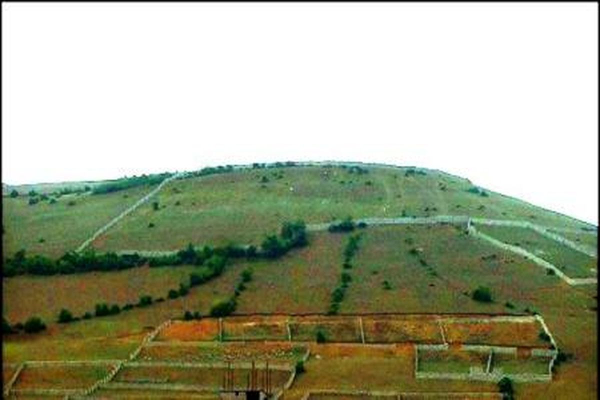 خاک‌های کشاورزی مناسب در زیر شهرها مدفون می‌شوند