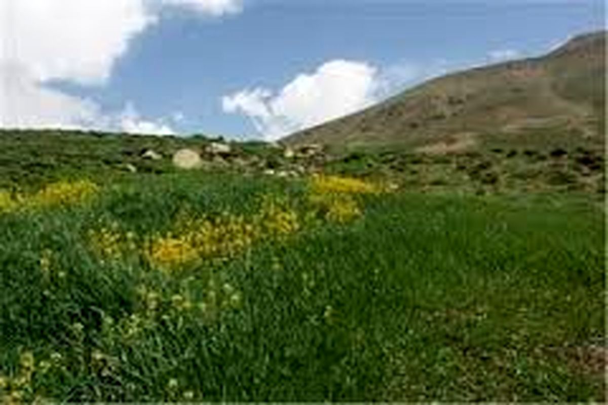 نظارت بر عرصه‌های منابع طبیعی در اردبیل تشدید می‌شود