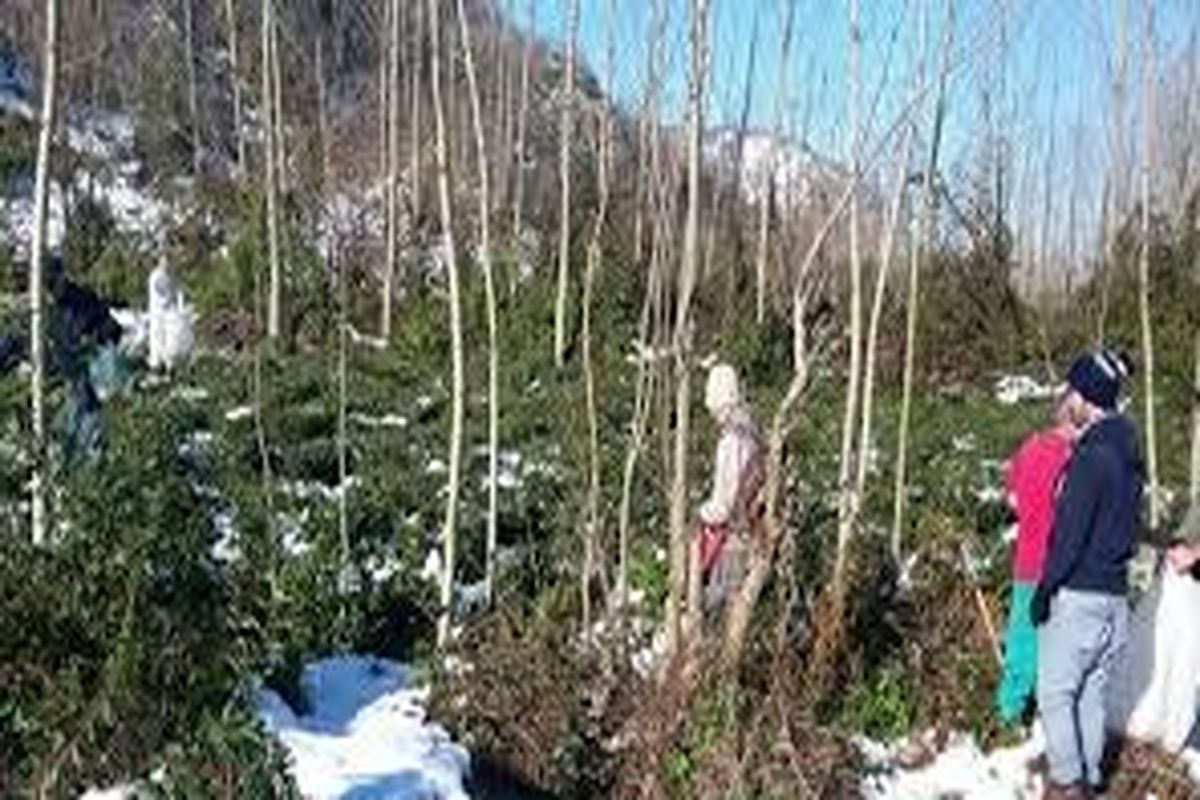 فعالیت‌های خودجوش زیست‌محیطی در اردبیل حمایت می‌شود