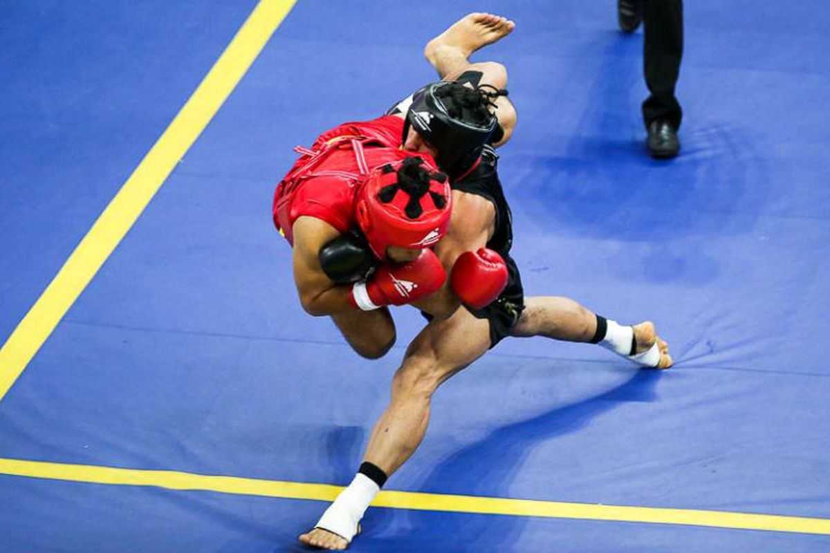 دو ووشوکار کردستانی در رقابت های بزرگسالان کشور برنزی شدند