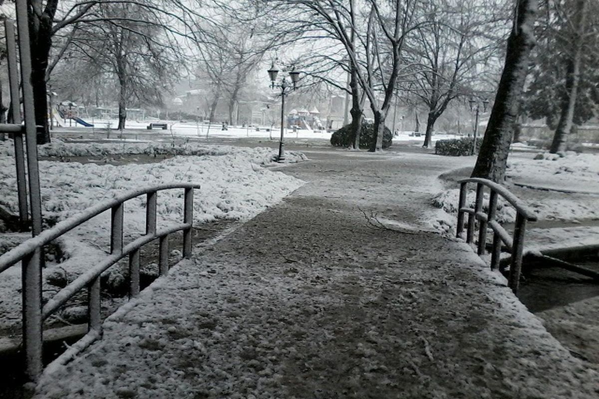 تصاویر زیبا از بارش برف - پارک شهر رشت