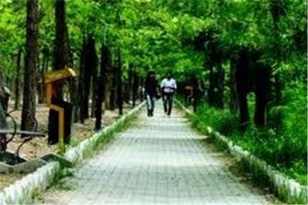 کسب نشان  و گواهی  واحد خدماتی سبز کشور توسط سازمان پارک ها و فضای سبز شهرداری مشهد