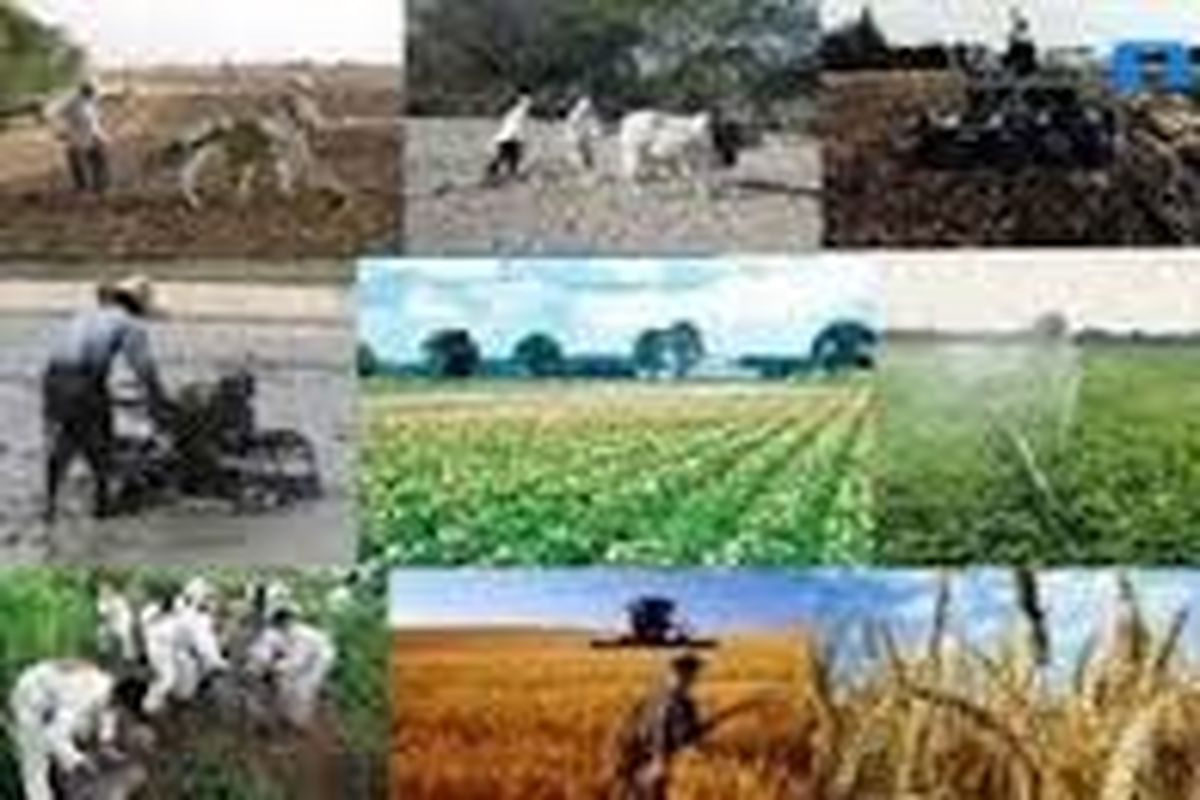 بهره‌برداری از ۴۱ طرح کشاورزی در اردبیل آغاز می‌شود