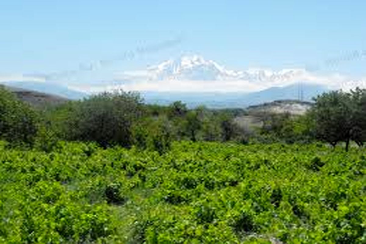 رشد ۴۸ درصدی سرمایه‌گذاری در بخش کشاورزی اردبیل