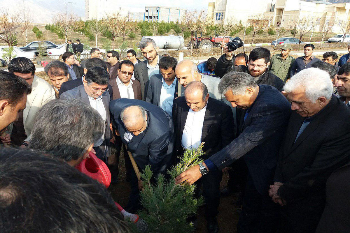 پدربلوط ایران:درختکاری فقط به یک آیین محدود نشود