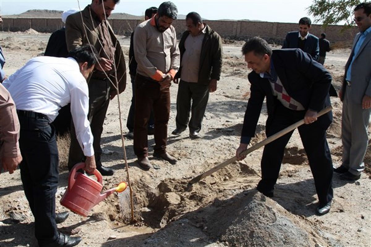 ۹۹ اصله نهال به یاد ۹۹ شهید دانشجوی استان سیستان و بلوچستان غرس شد