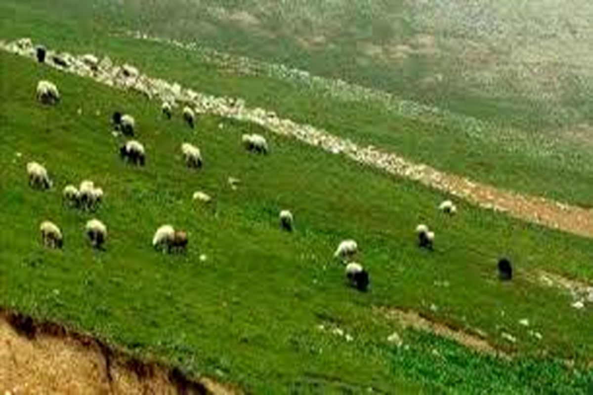 بیش از ۵۰ درصد اعتبارات منابع طبیعی اردبیل تخصیص یافت