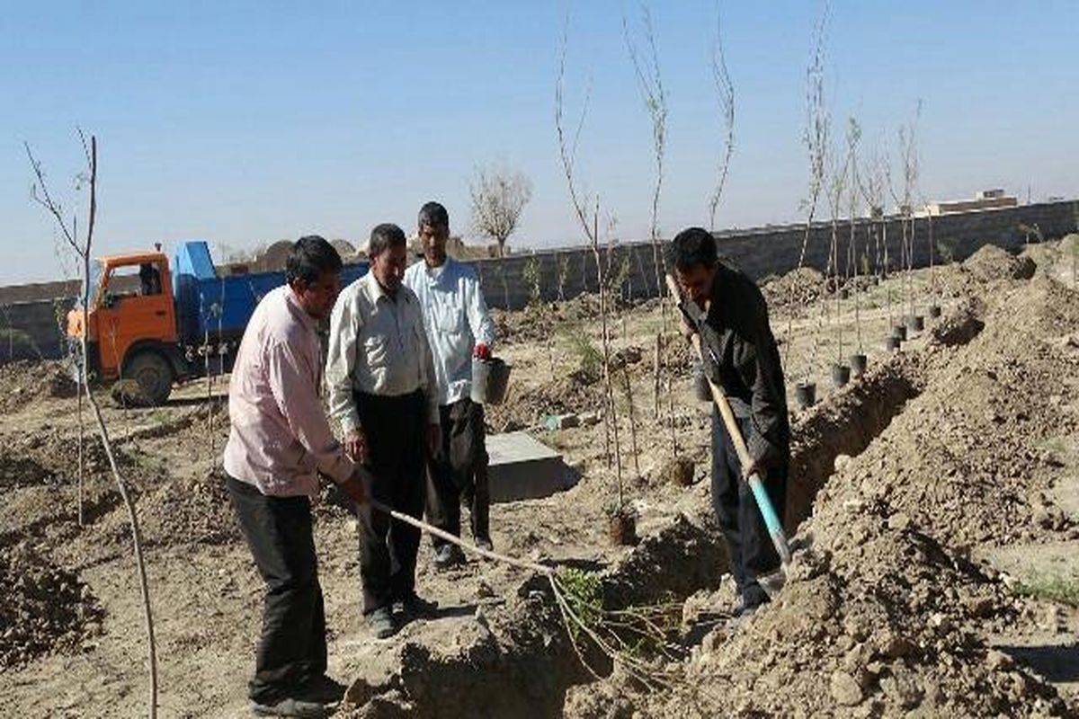 کاشت بیش از ۱۰ هزار اصله نهال درهفته منابع طبیعی وآبخیزداری در روستای کفران