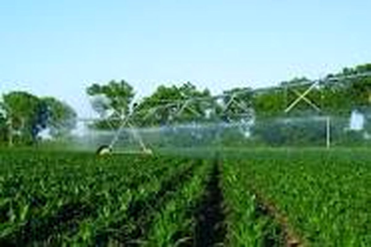 ۲۸ هزار هکتار شبکه آبیاری در اراضی کشاورزی اردبیل اجرامی‌شود