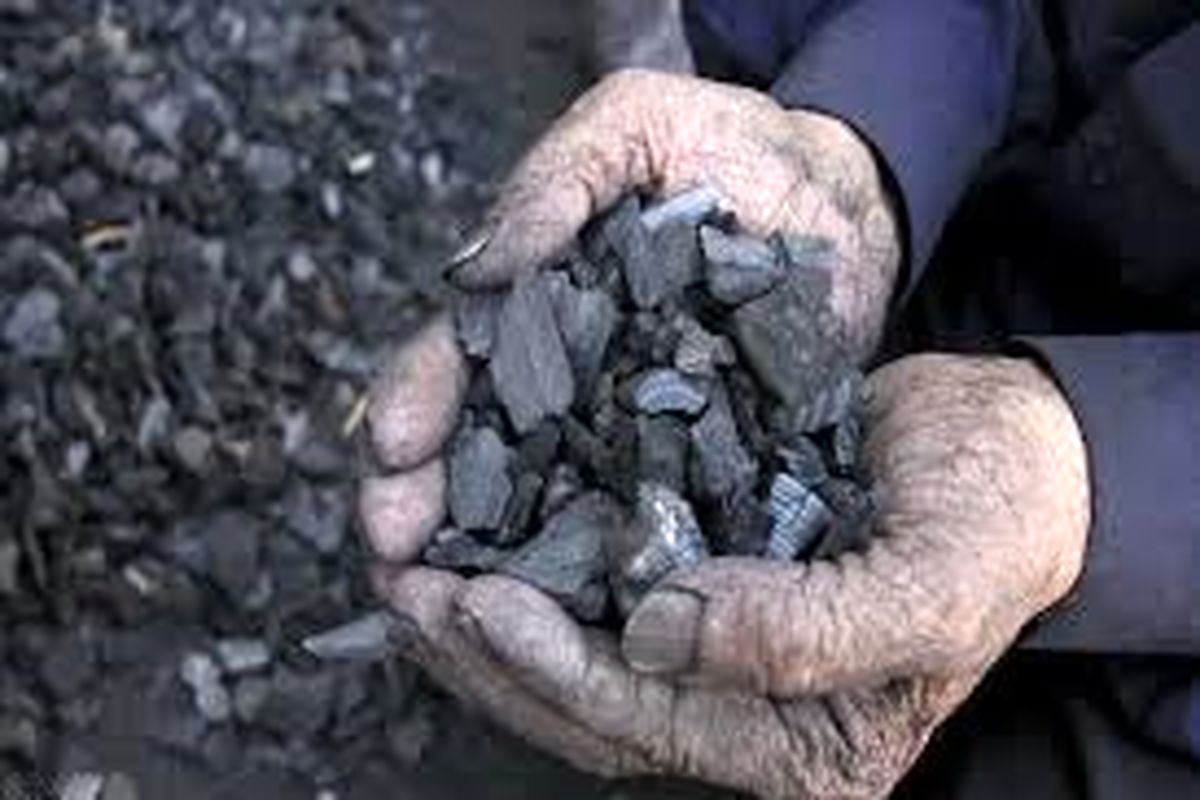 ۲۸ کوره تولید زغال در استان اردبیل تخریب شد