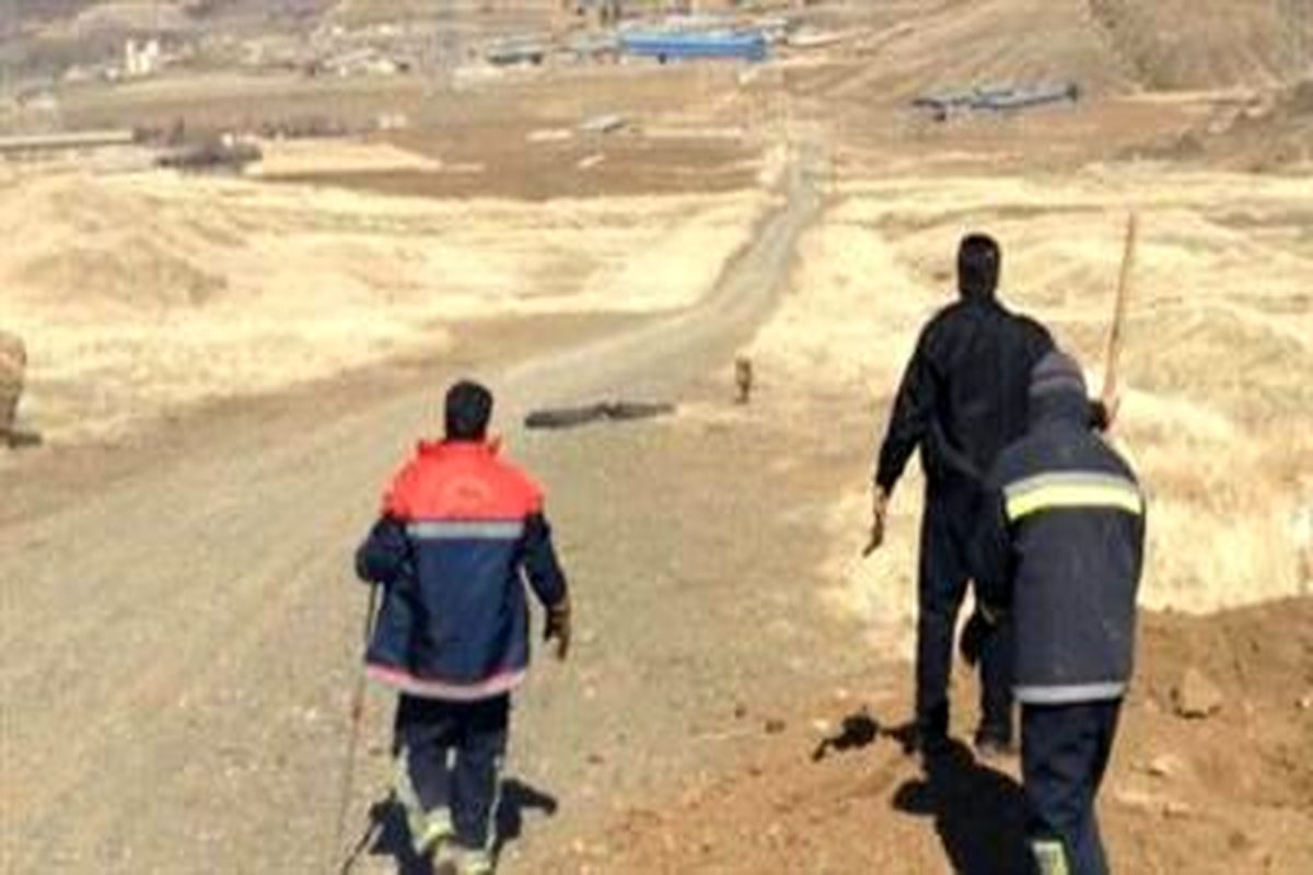 نجات یک قلاده «گرگ» گرفتار شده در شهرستان سنندج