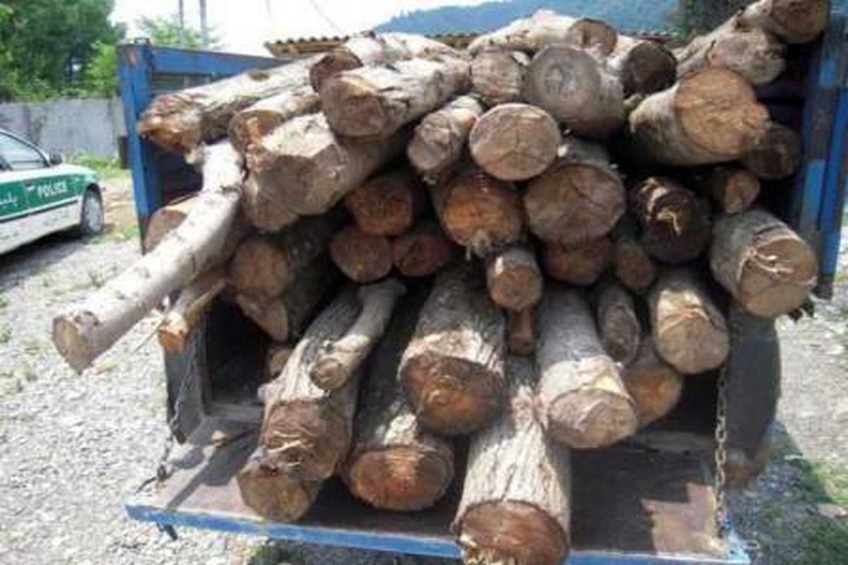 کشف بیش از ۶۷ تن چوب جنگلی و هیزم قاچاق در چهارمحال و بختیاری