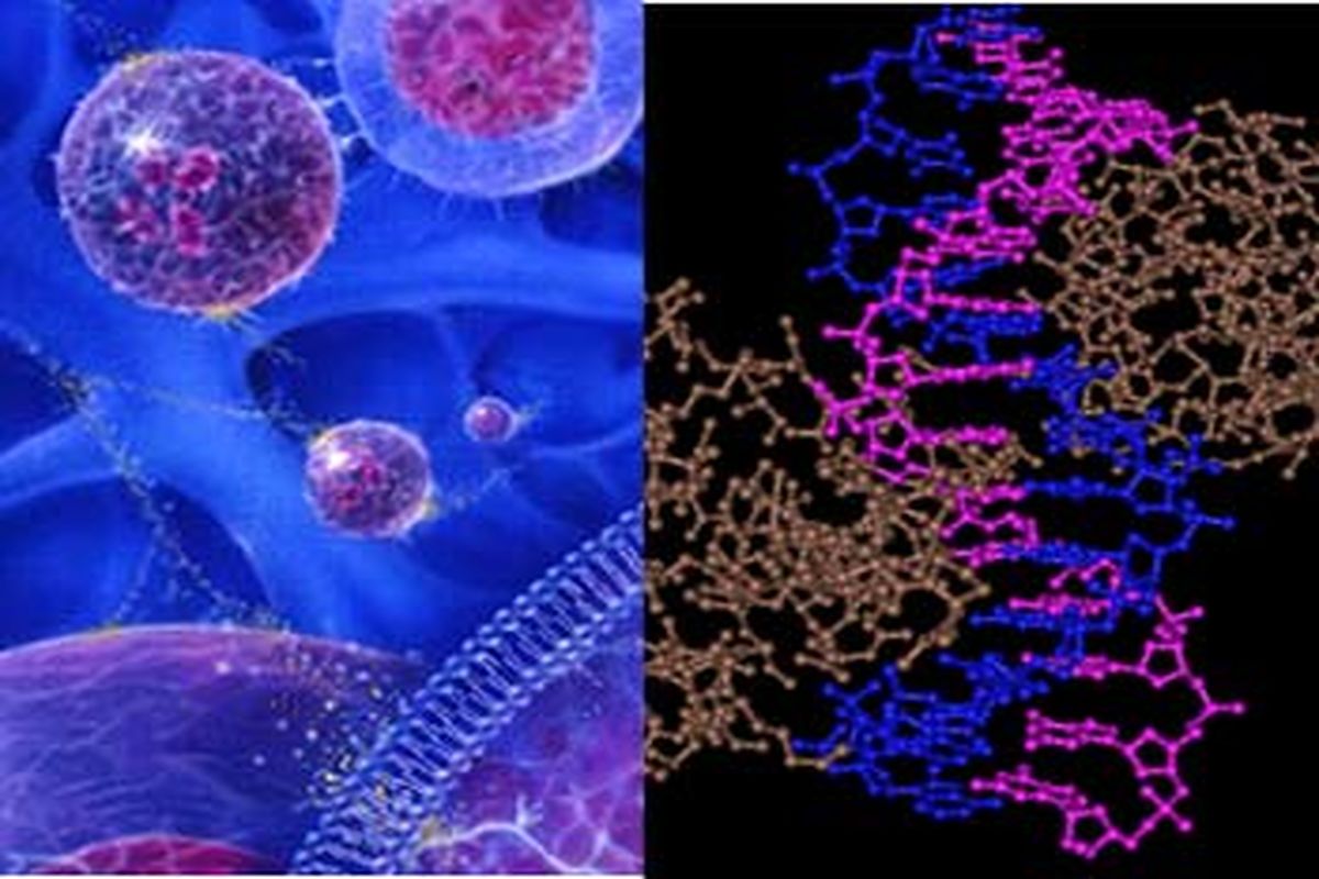 ارائه آخرین مباحث سلول‌های بنیادی دراولین کنگره بین المللی پزشکی