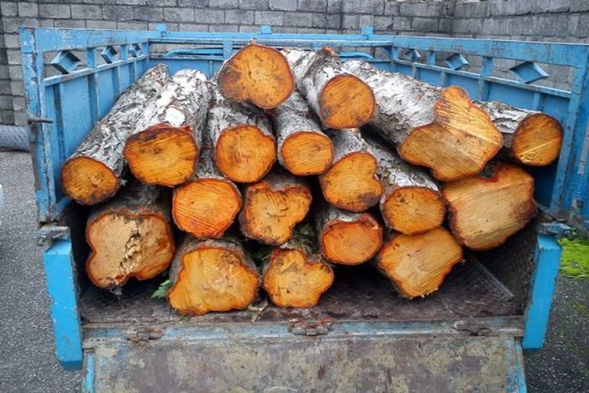 توقیف۱۶ دستگاه خودروی حمل چوب قاچاق در شهرستان لردگان