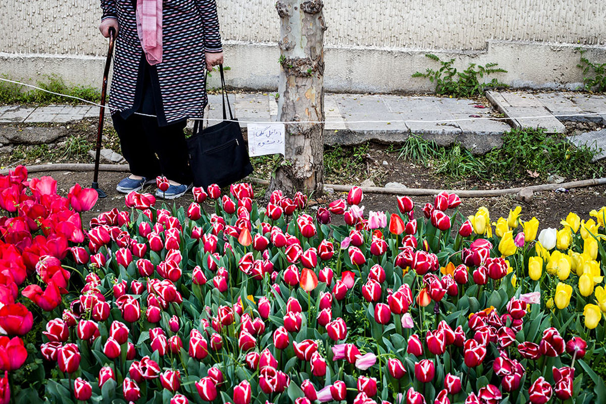 ضرورت ایجاد فرصت حضور همه در بازار گل محلات
