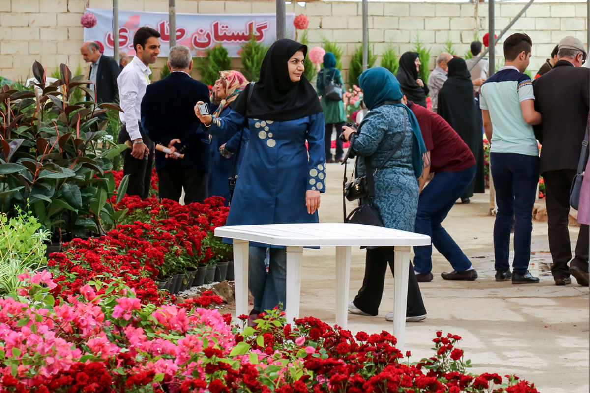 اولین باغ ایده ایران، پذیرای بیش از دو هزار ایده پرداز