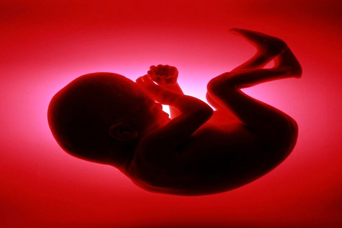 ۲۵ درصد بارداری‌ها به سقط جنین می‌انجامد