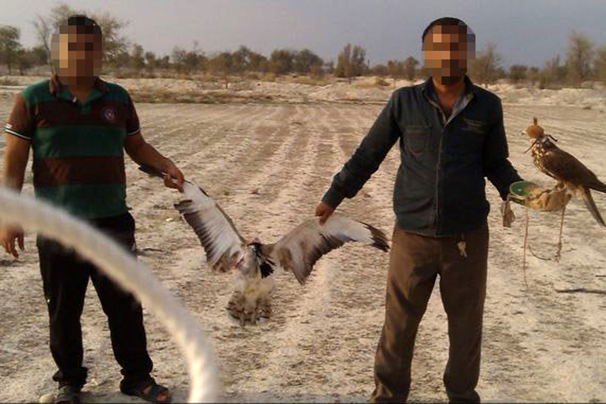 قاچاقچیان پرندگان نادر در بروجرد دستگیرشدند