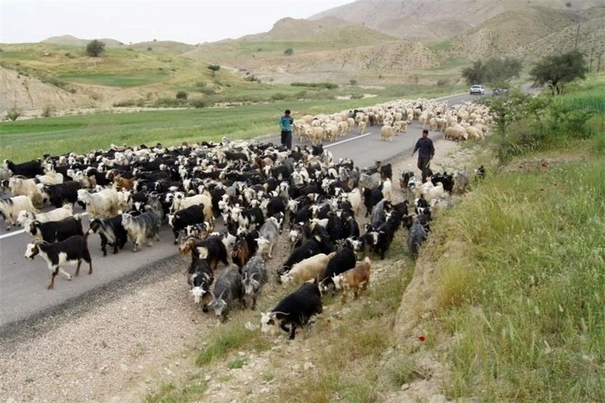 بازگشایی ۷۶۱ کیلومتر ایل‌راه عشایری در چهارمحال و بختیاری