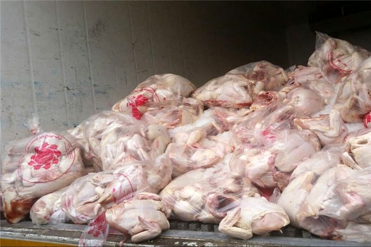 صادرات  ۹۱۹ تُن مرغ از چهارمحال و بختیاری به عراق