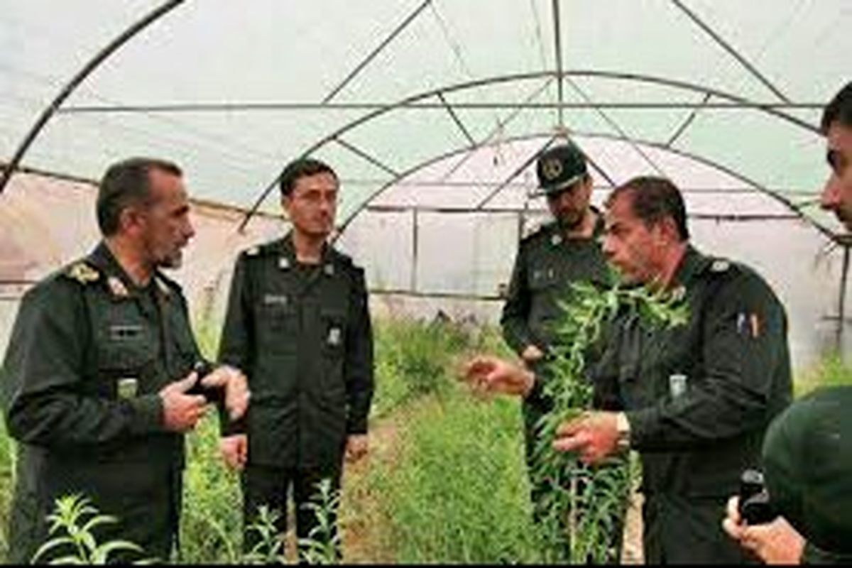 سه پروژه بزرگ کشاورزی توسط سپاه فتح استان تا نیمه شعبان مورد بهره‌برداری قرار می‌گیرد.