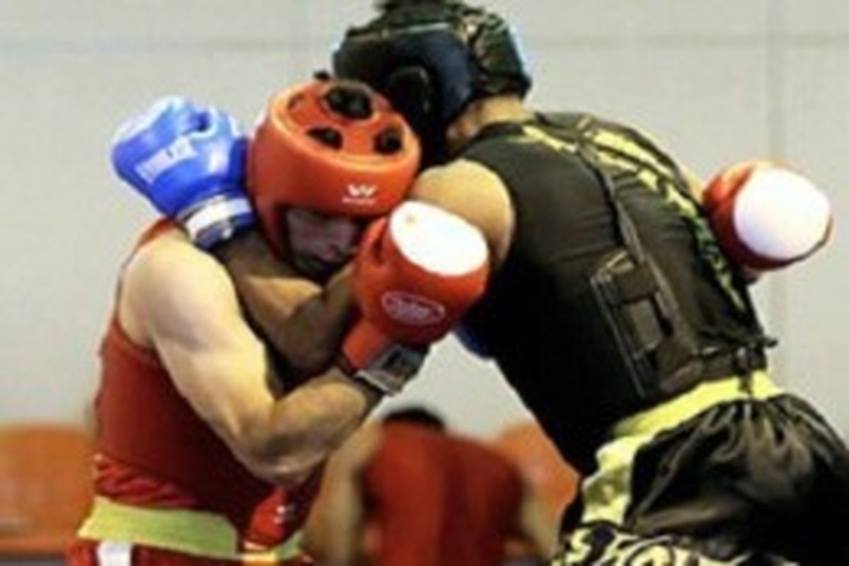 شرکت در دوره بین المللی داوری ووشو