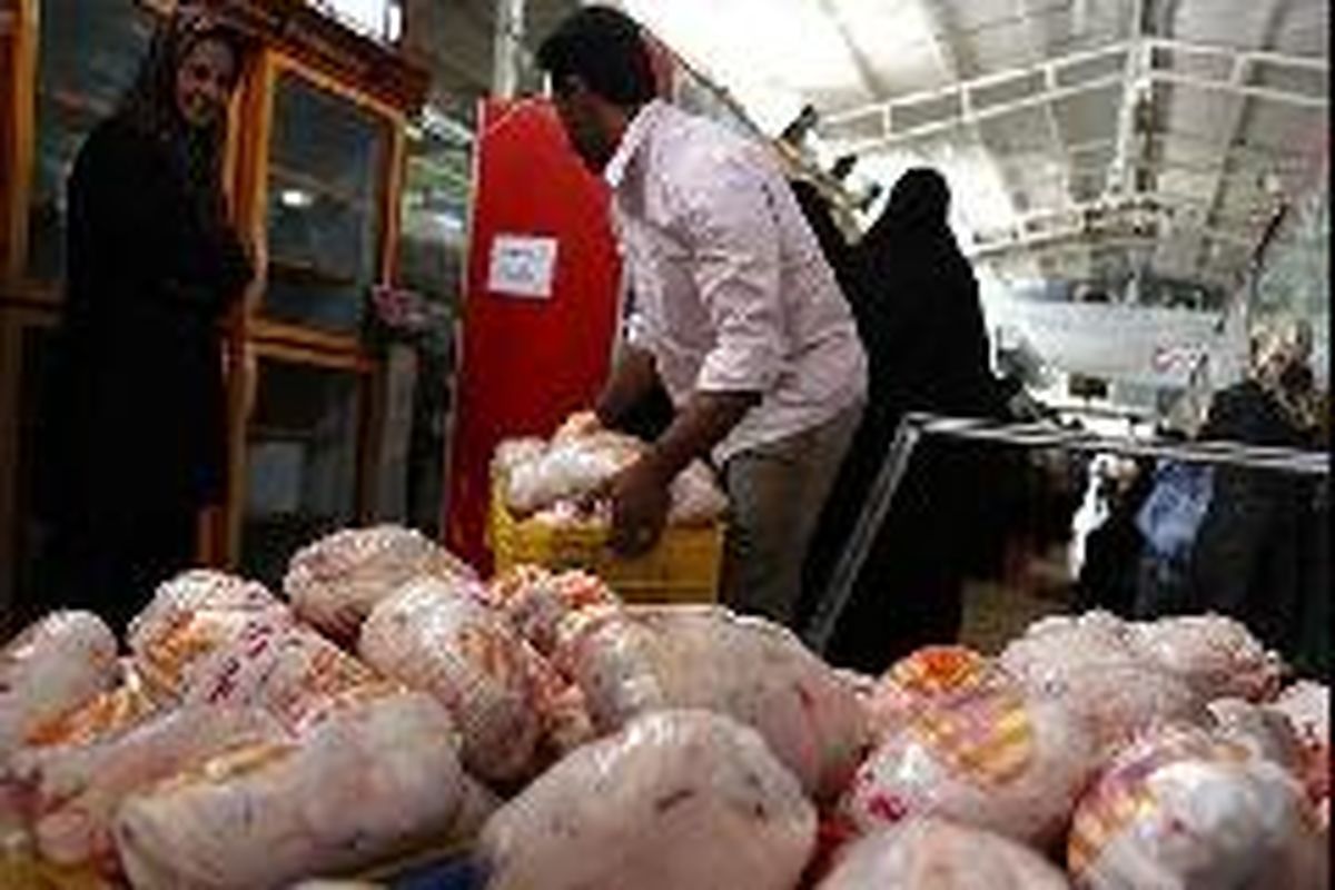 توزیع ۳۶۰تن مرغ منجمد در ماه مبارک رمضان در هرمزگان