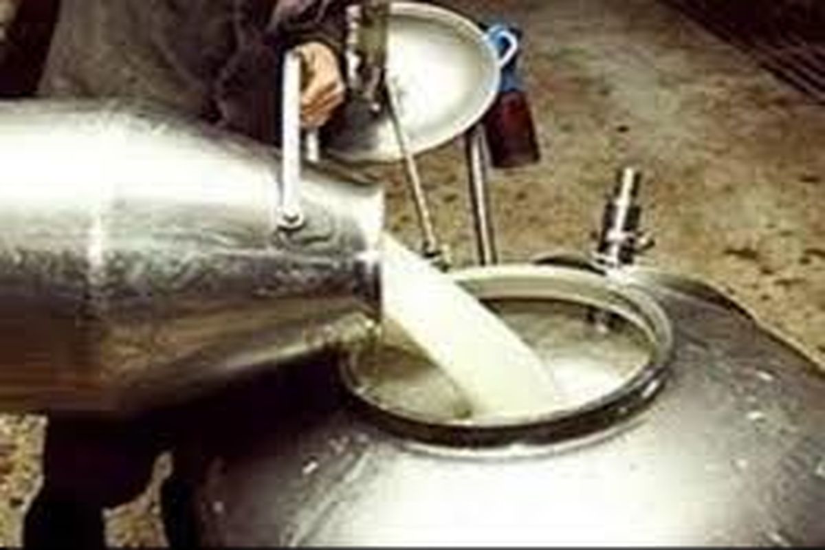 خرید تضمینی شیر در خراسان شمالی
